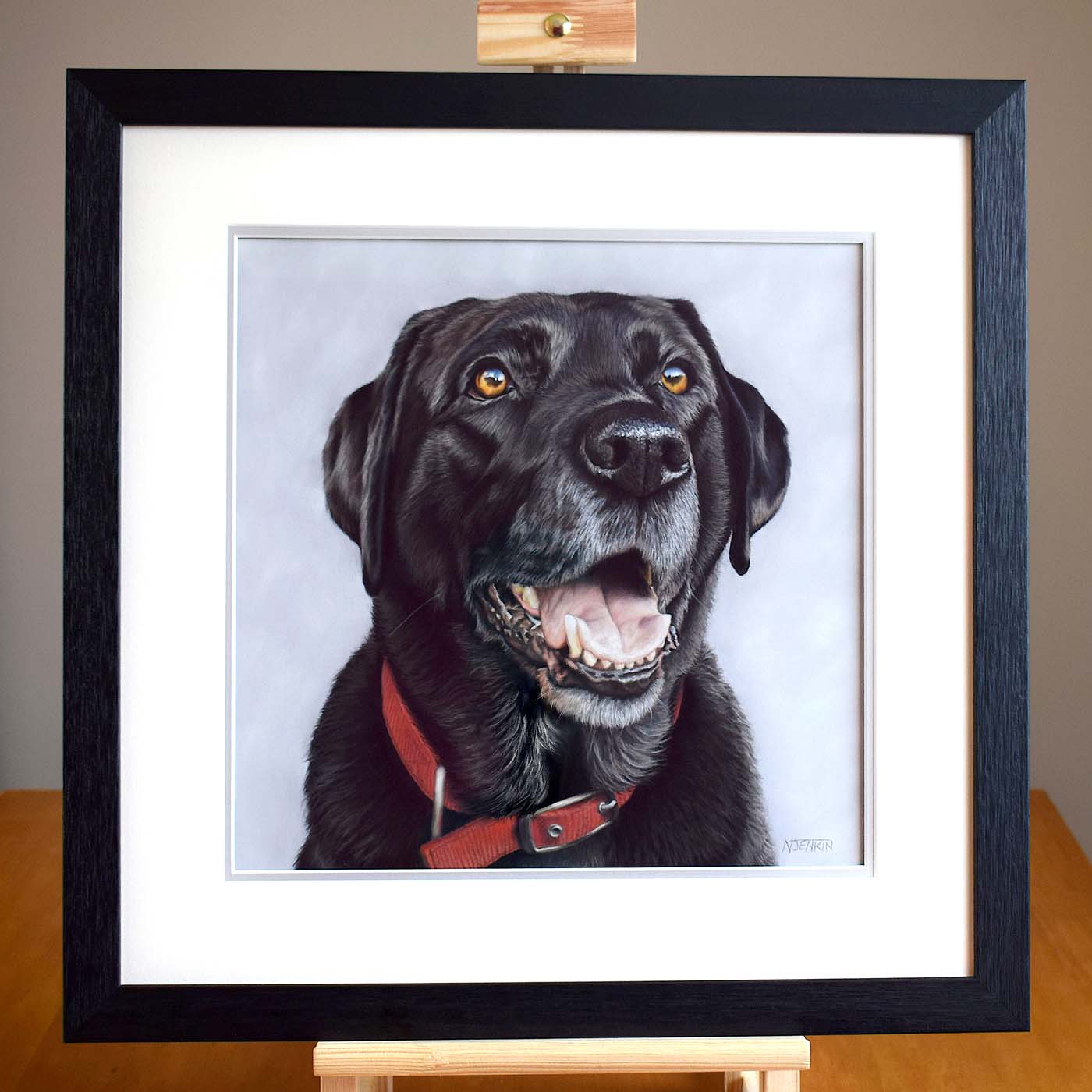 Framed pet portrait of Labrador by Naomi Jenkin Art. 