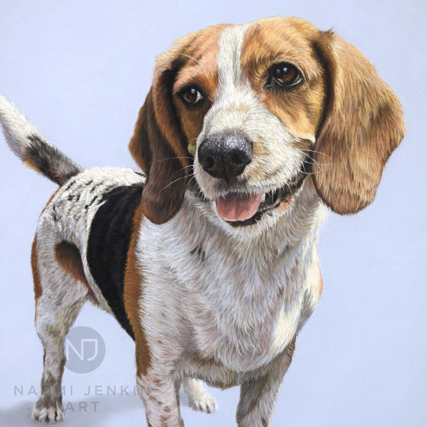 Dog portrait by Naomi Jenkin Art. 
