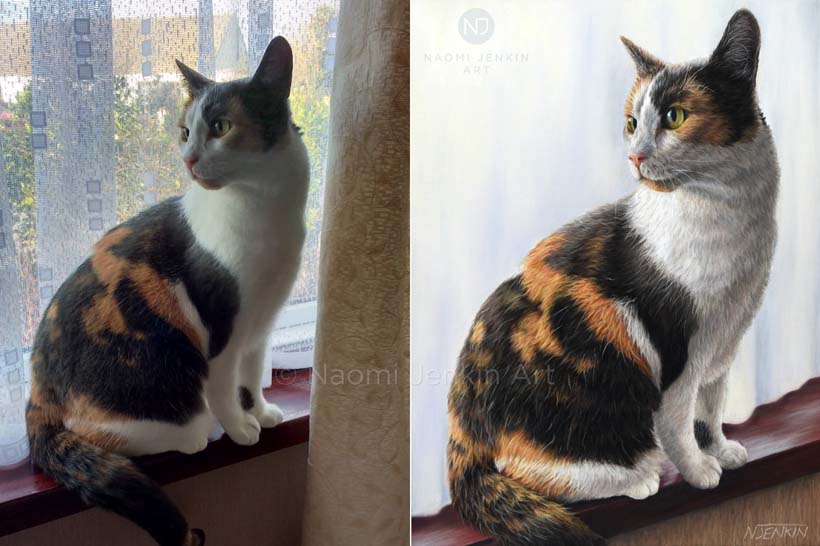 Photo of Cici the cat alongside her hand drawn portrait by Naomi Jenkin Photo and hand drawn portrait of a cat by Naomi Jenkin Art.