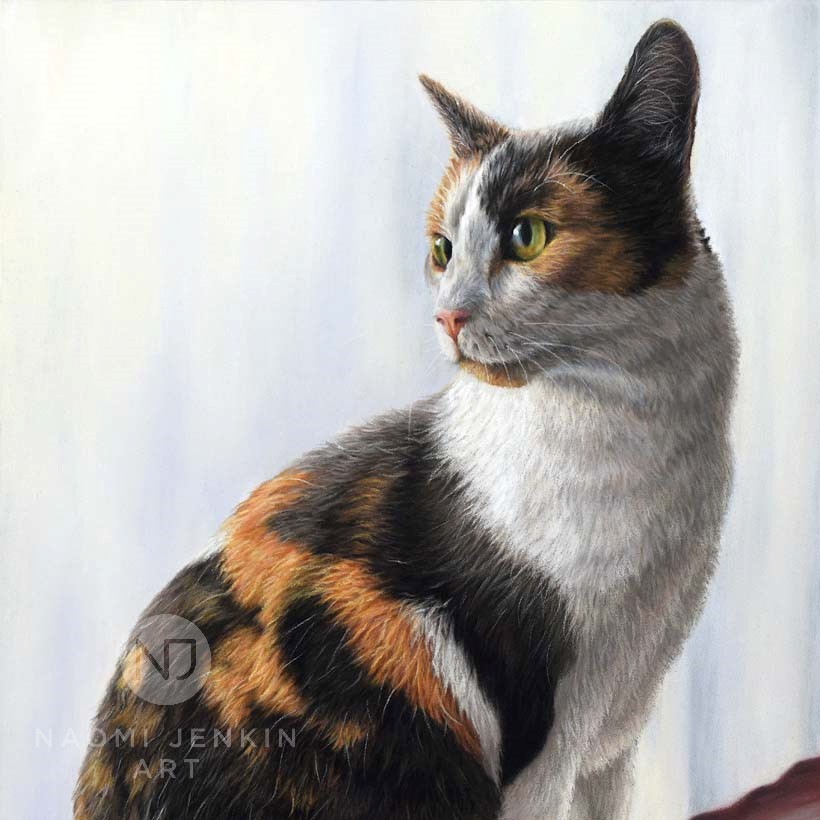 Cat portrait of a calico cat drawn by Naomi Jenkin