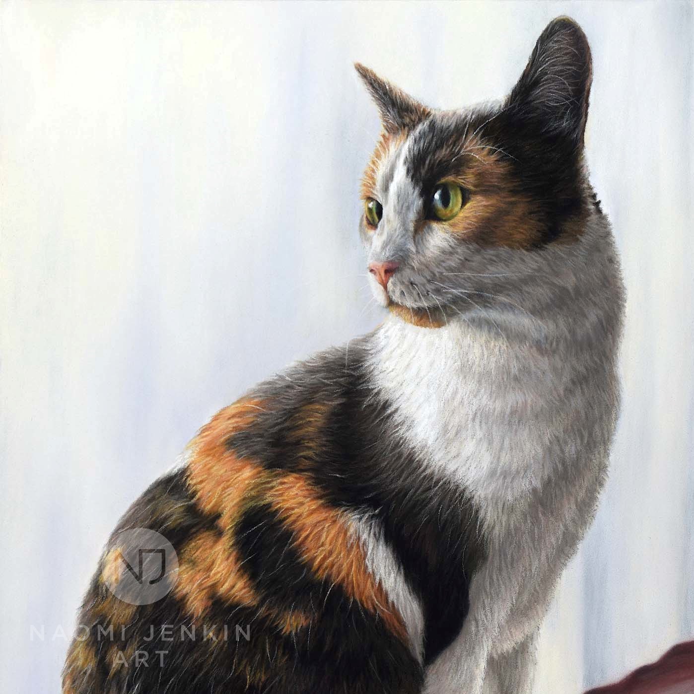 Cat portrait of Cici the Calico cat by Naomi Jenkin Art