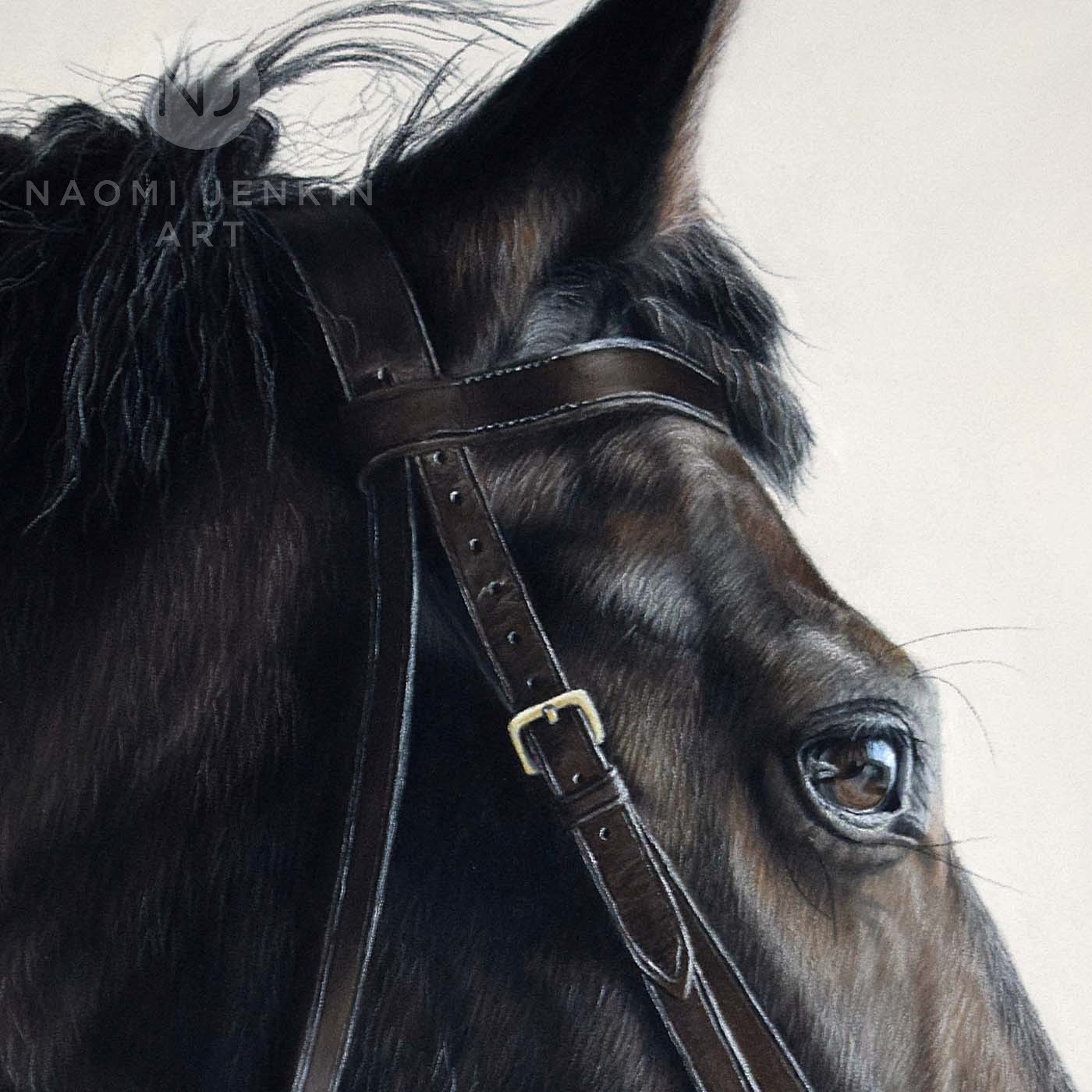 Horse portrait by equine artist Naomi Jenkin Art.