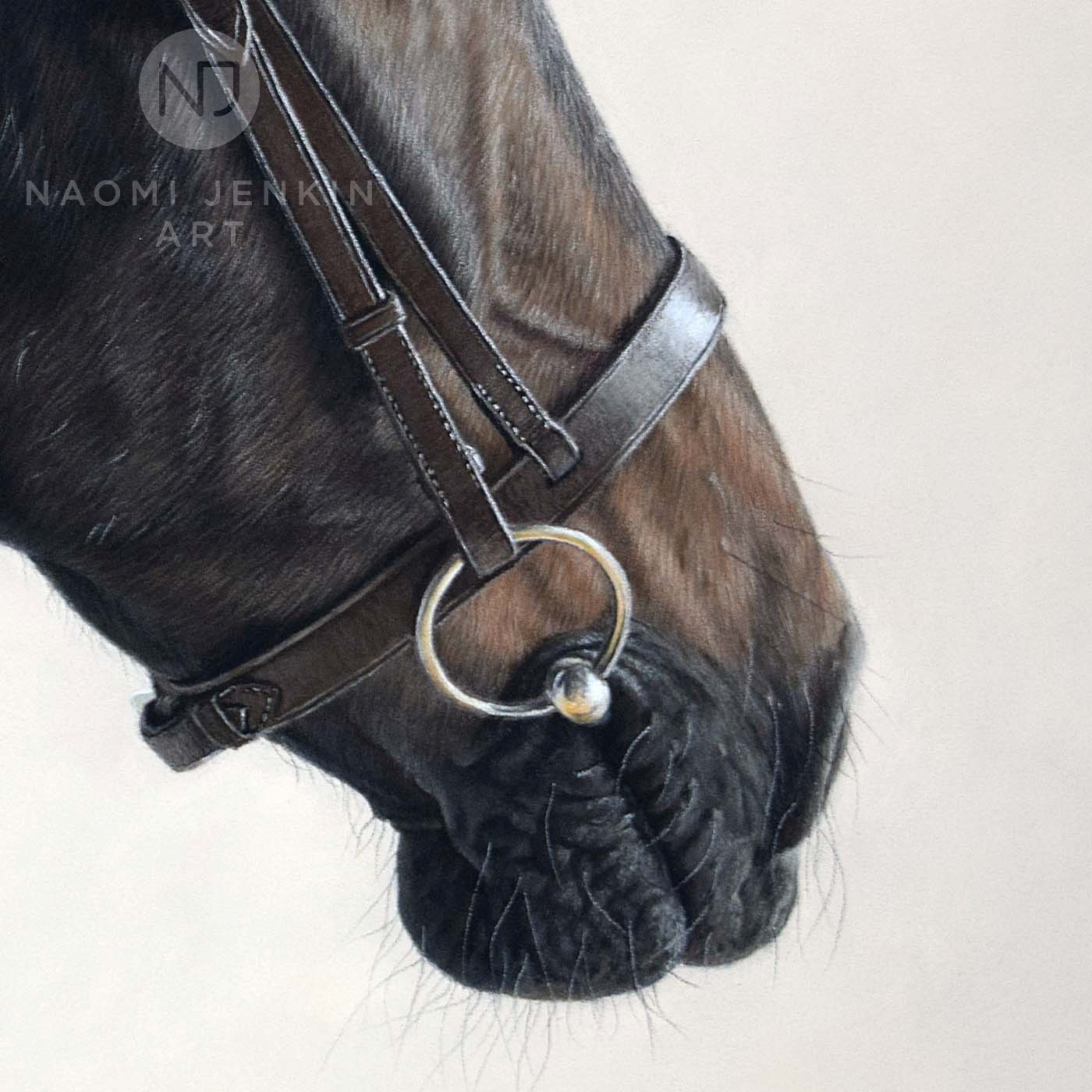 Horse portrait by equine artist Naomi Jenkin. 