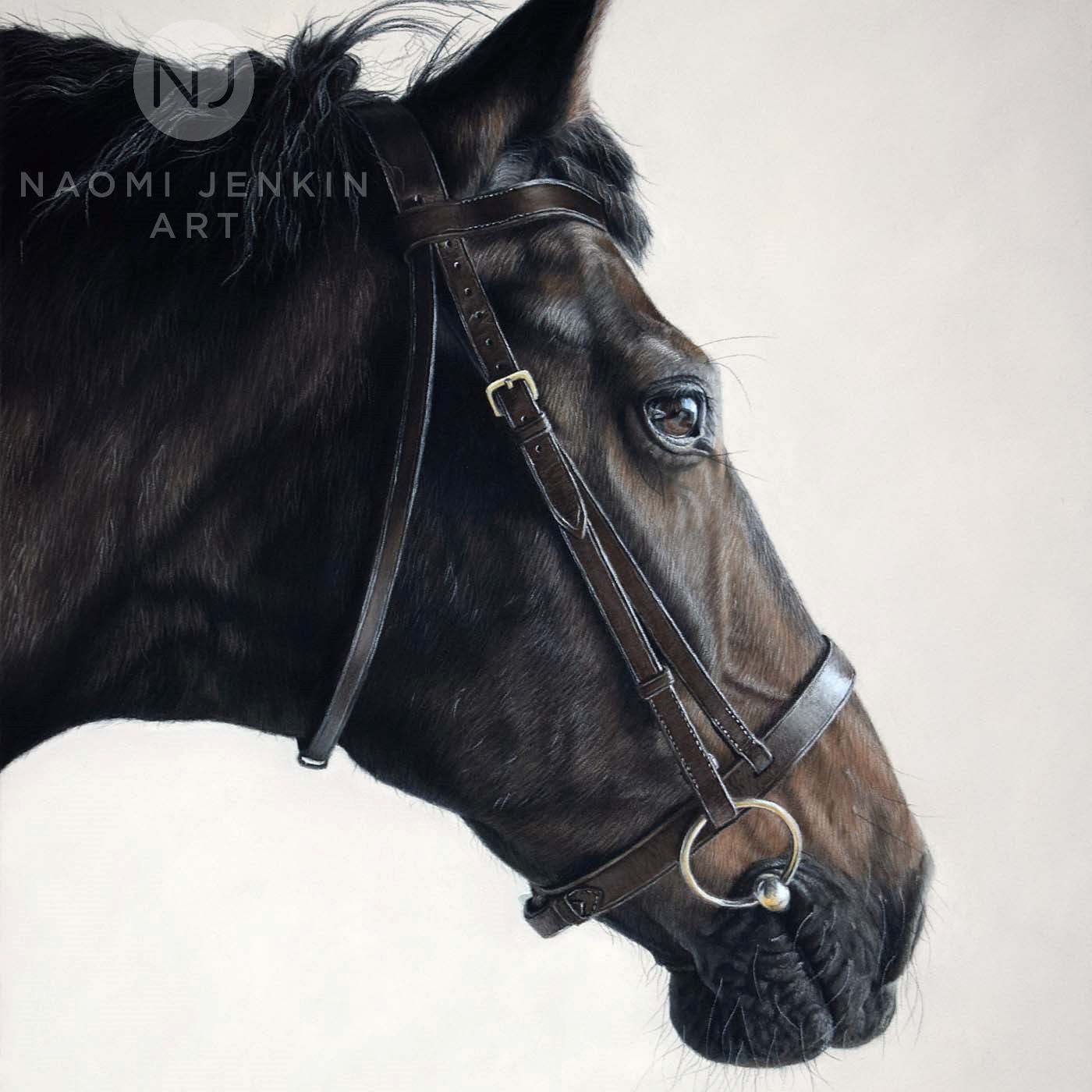 Horse portrait by equine artist Naomi Jenkin. 