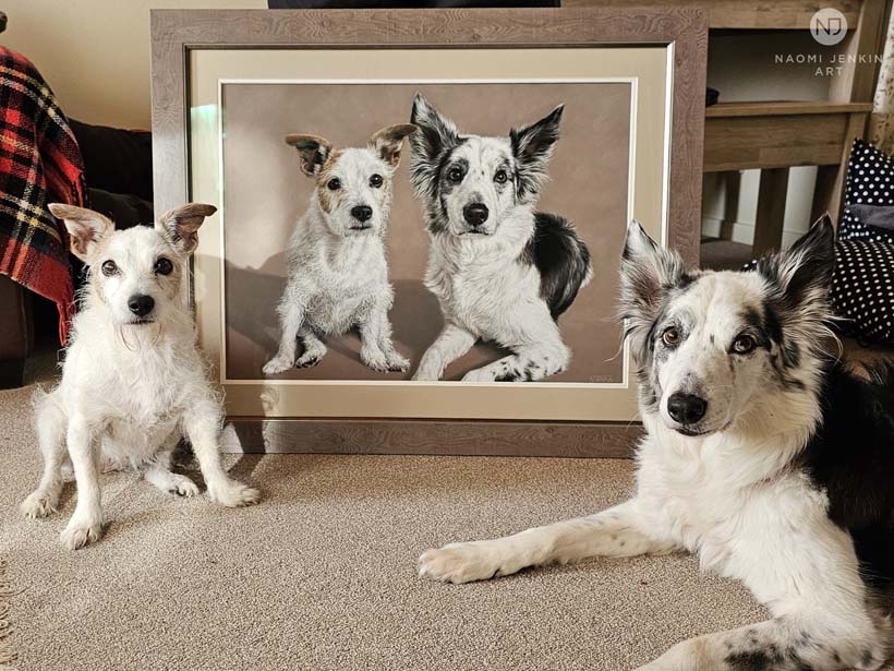 A Jack Russell and Border Collie pose with their dog portrait drawn by Naomi Jenkin.