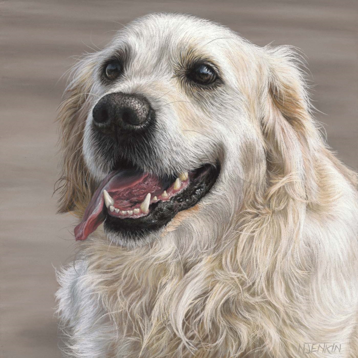 Portrait of Daisy the golden Retriever by Naomi Jenkin Art. 