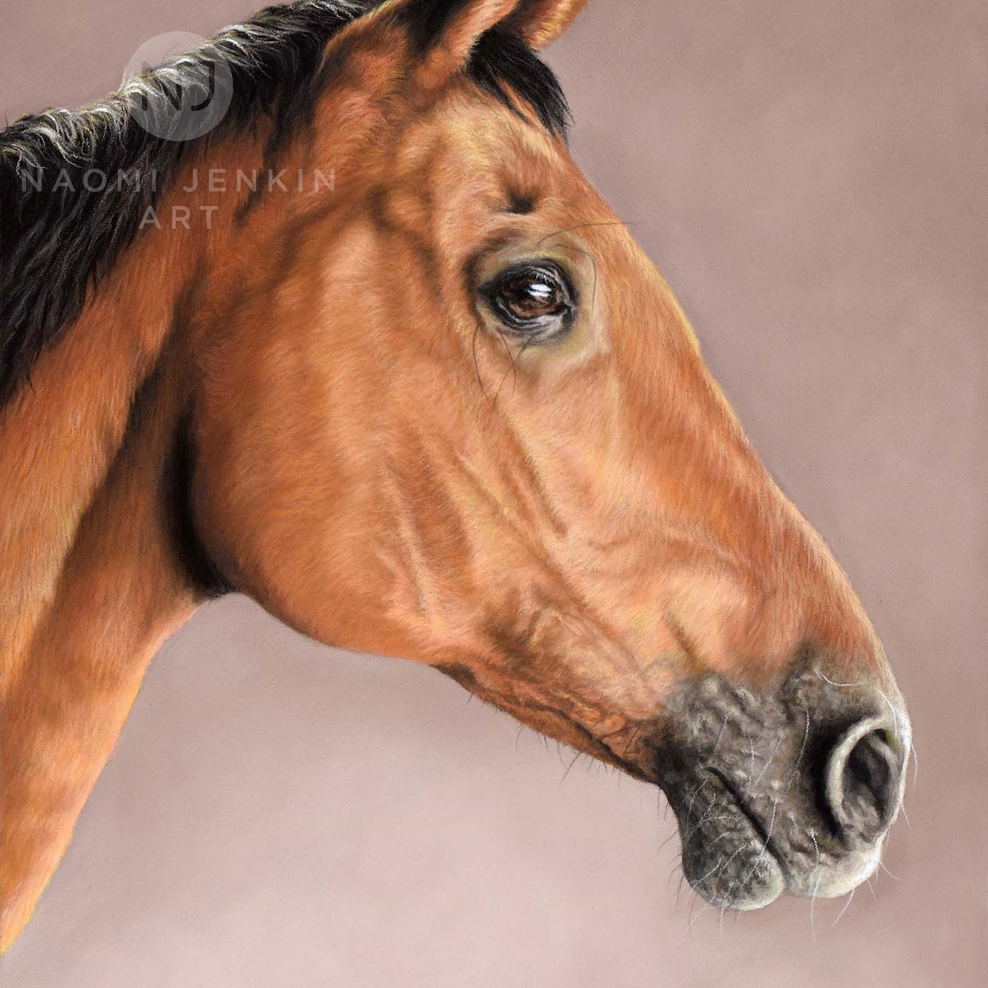 Portrait of racehorse by Naomi Jenkin Art. 