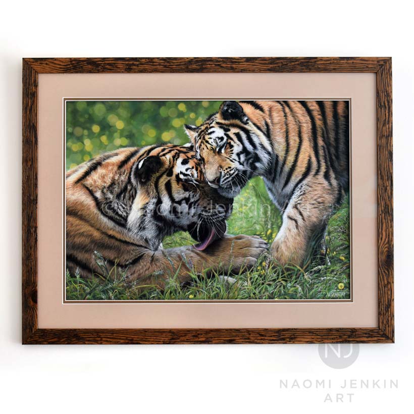 Tiger painting by wildlife artist Naomi Jenkin.