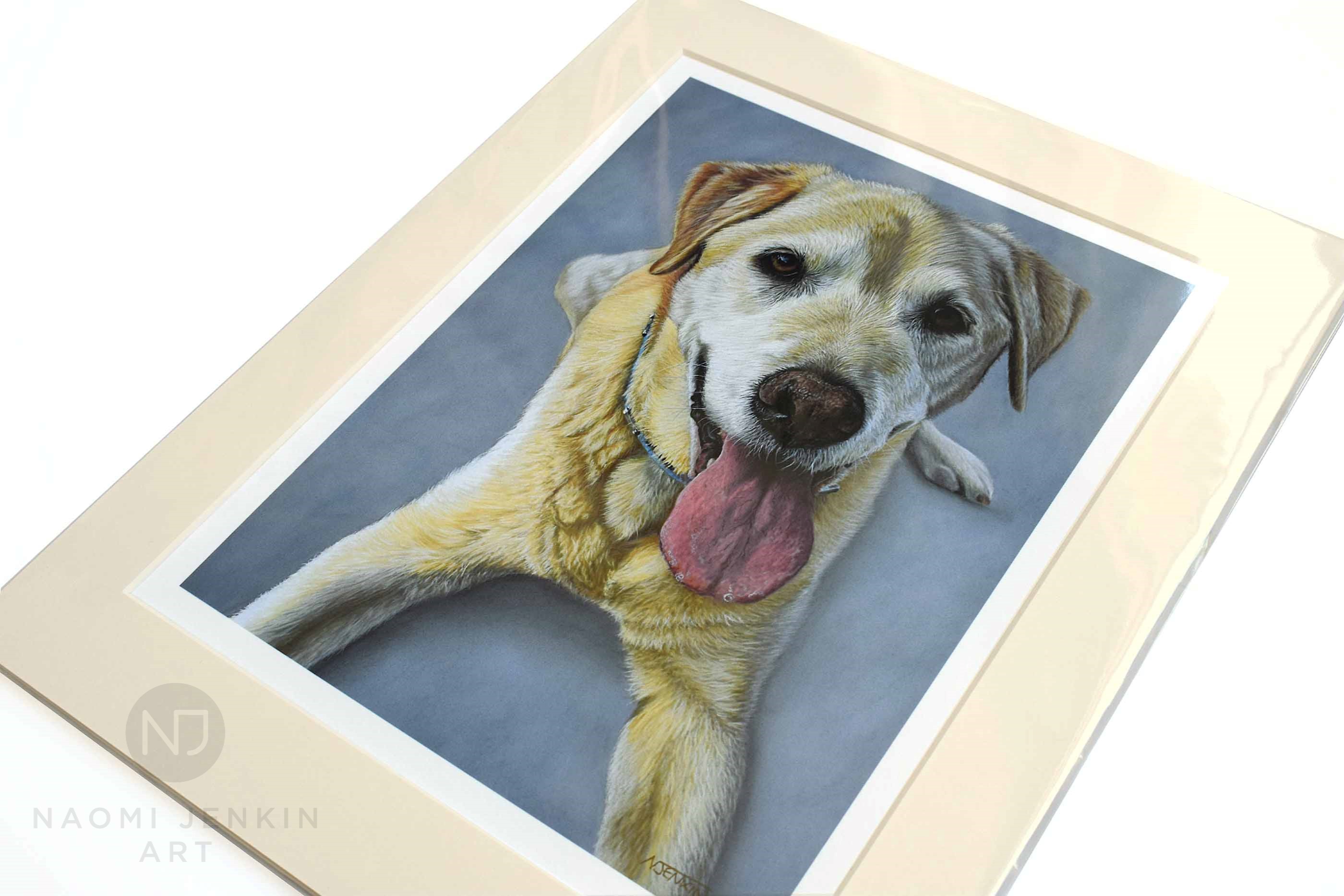 Fine art print of dog portrait by Naomi Jenkin Art. 