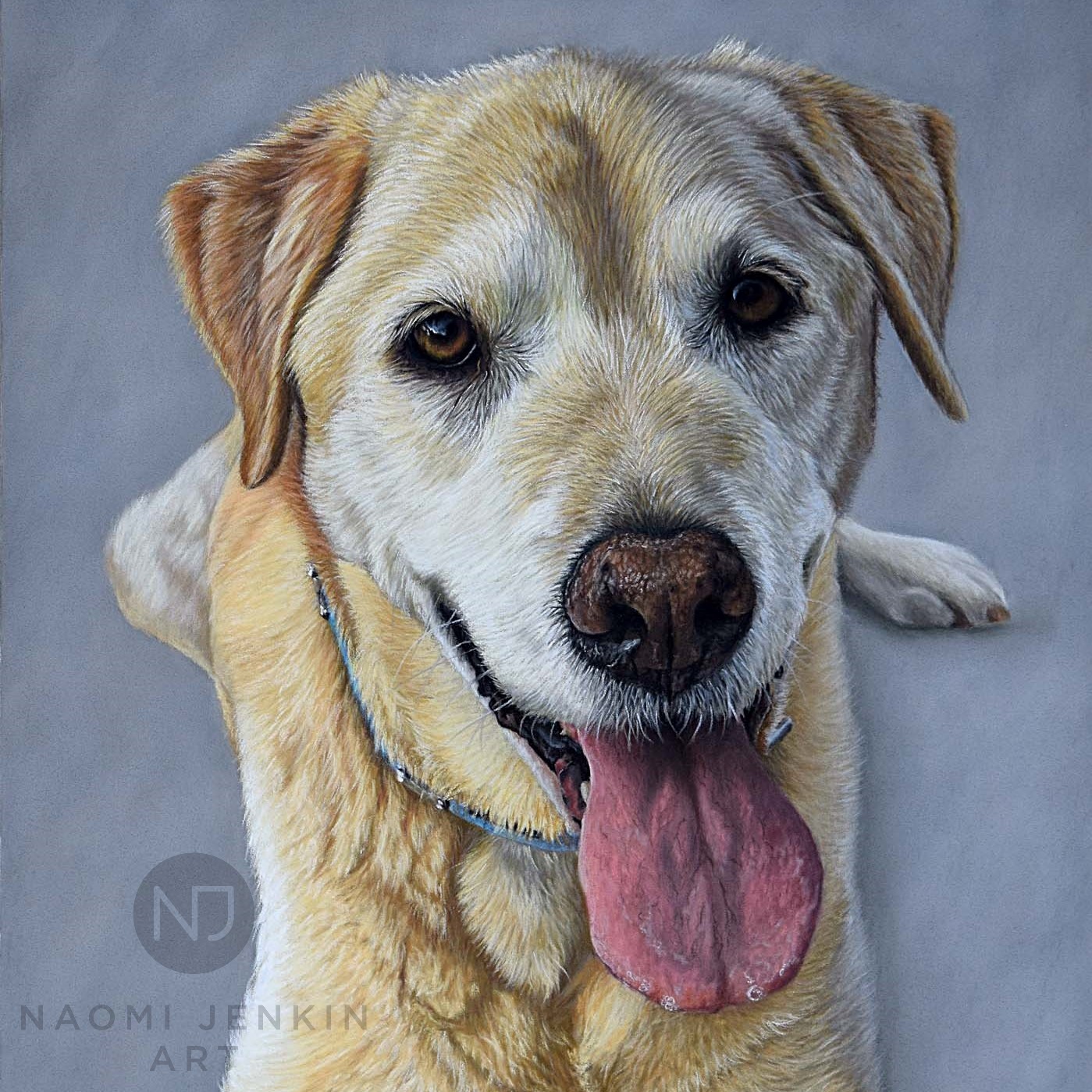 Pet portrait in pastels by Naomi Jenkin Art. 