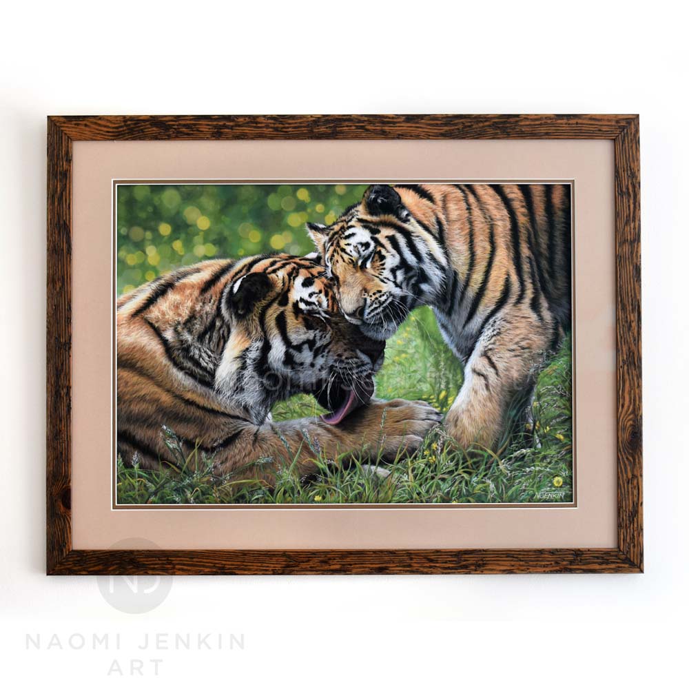 Framed tiger painting by Naomi Jenkin Art. 