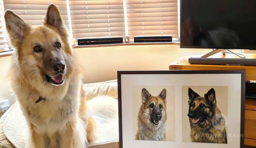 Kaiser the German Shepherd posing with his portrait