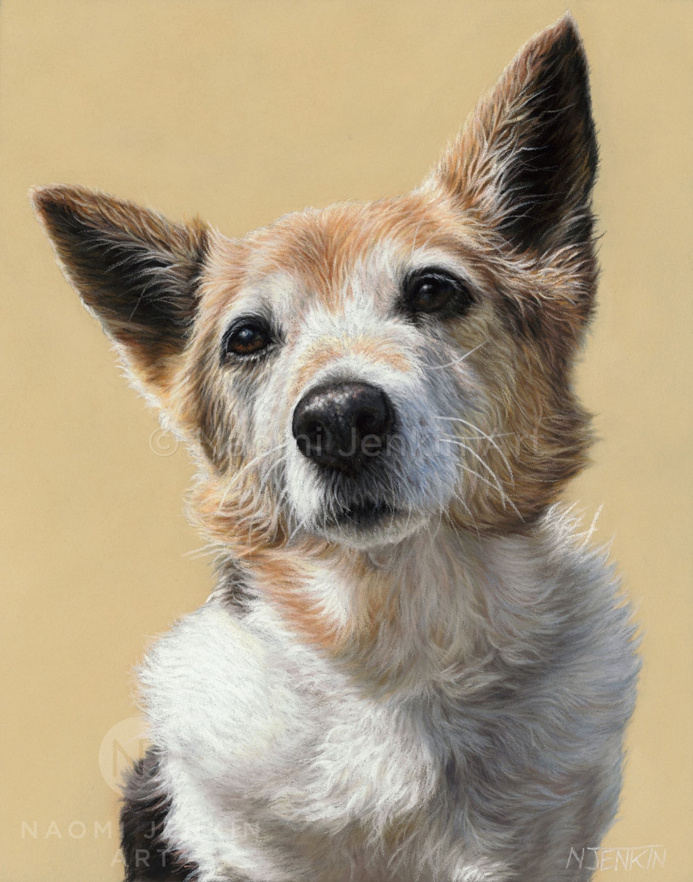 Dog portrait commission of "Lilly" by Naomi Jenkin Dog portrait commission of "Lilly" by Naomi Jenkin Art