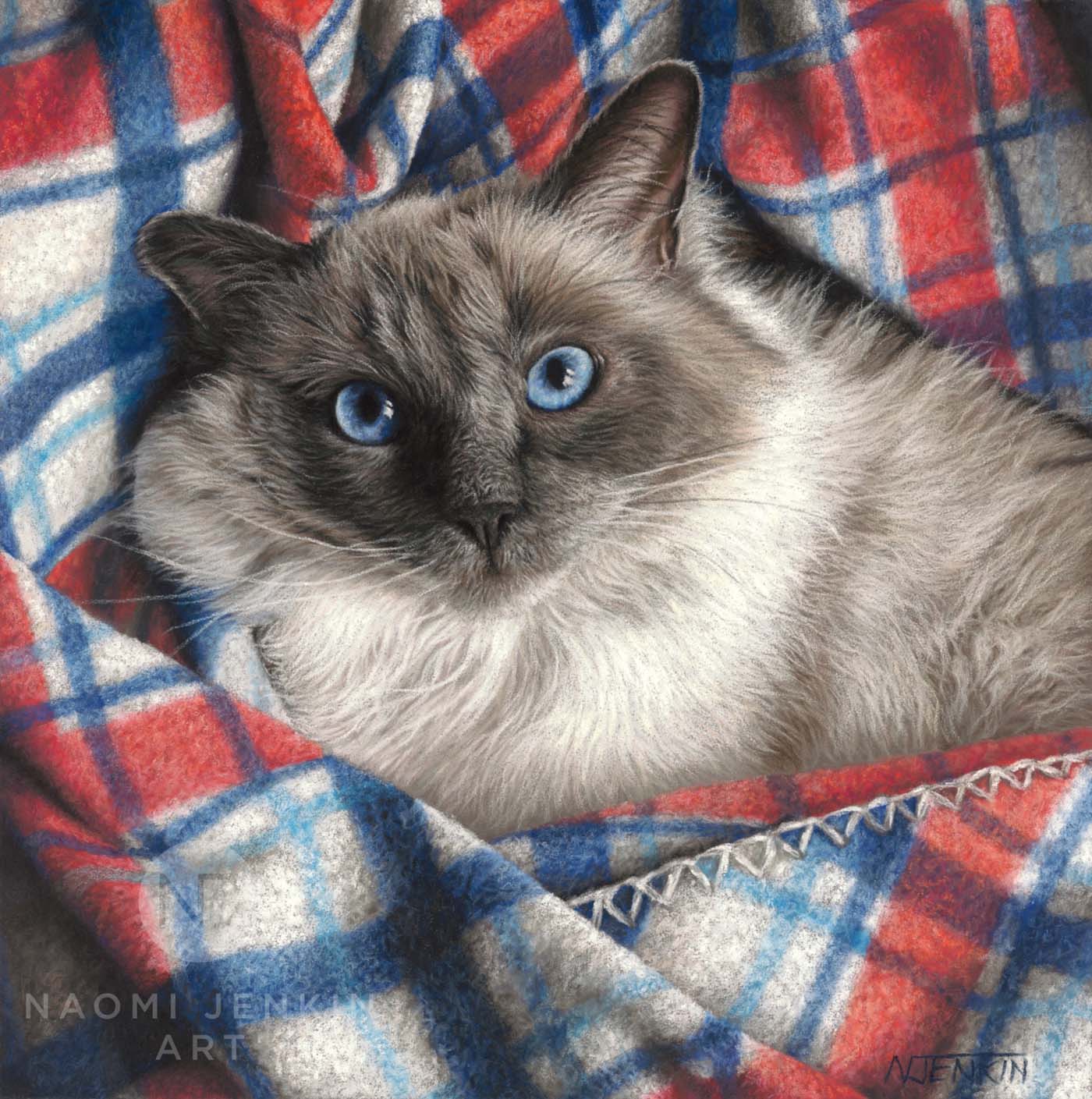 Cat portrait by pet portrait artist Naomi Jenkin. 