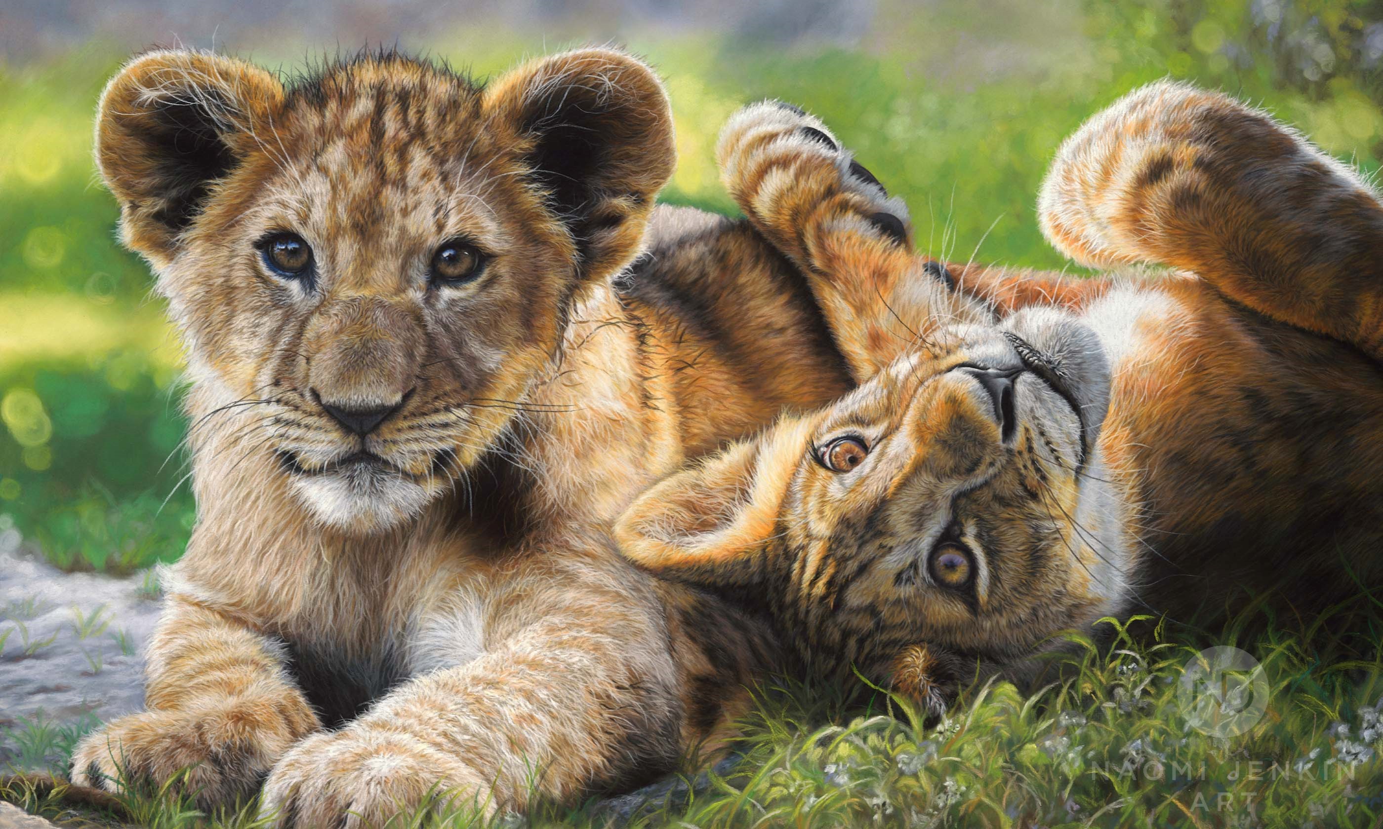 Lion painting by wildlife artist Naomi Jenkin. 