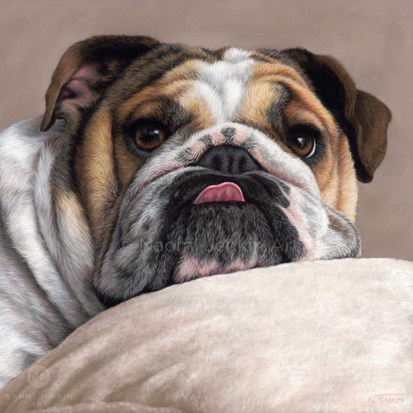 Dog portrait of a British Bulldog drawn in pastels by Naomi Jenkin Art