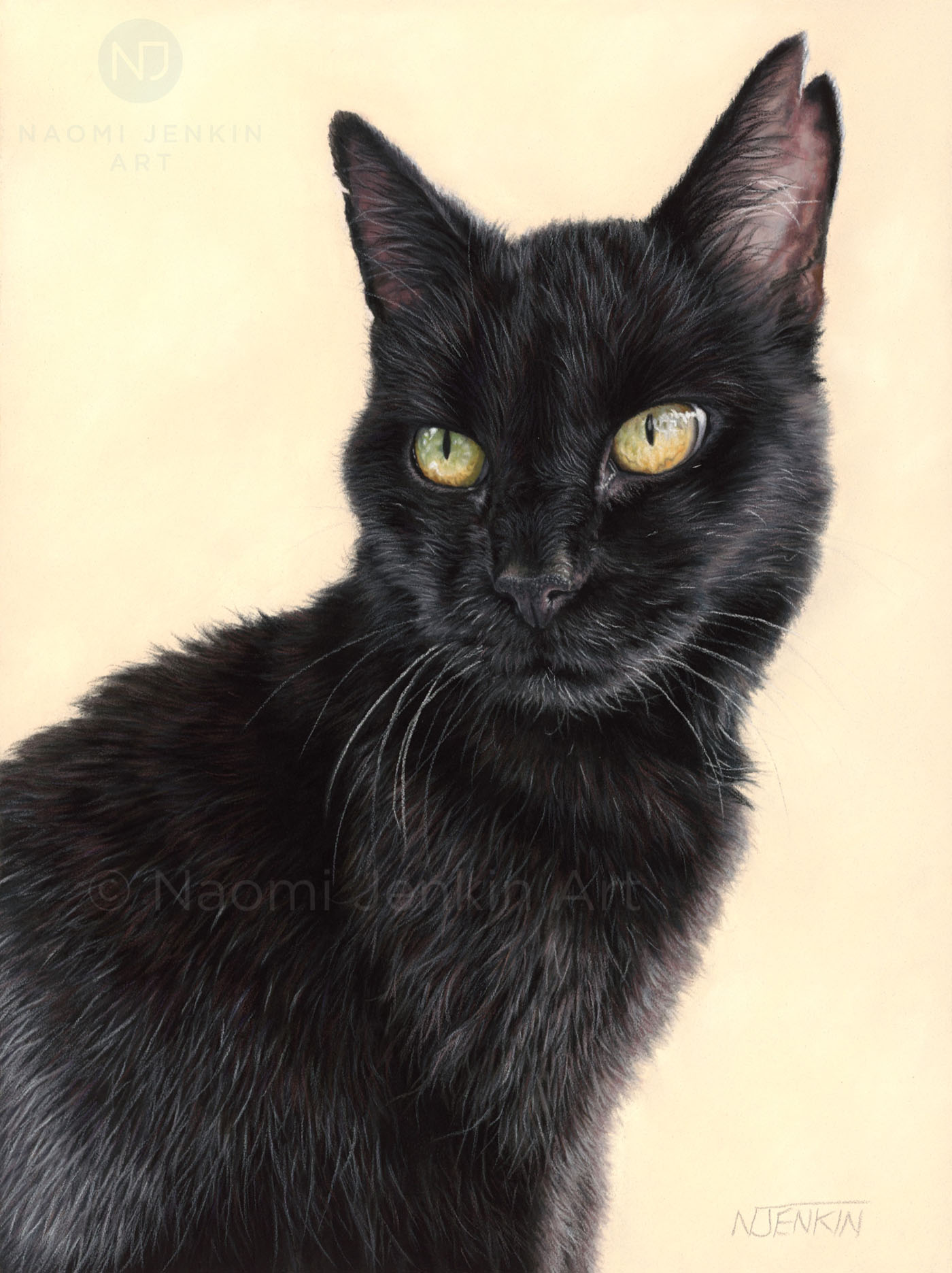 Cat portrait of "Molly" by Naomi Jenkin Cat portrait of a black cat by Naomi Jenkin Art