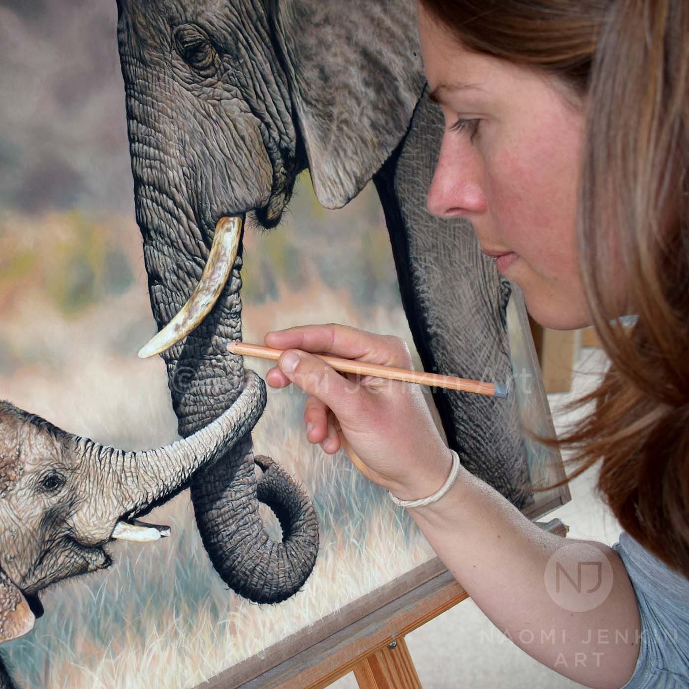 Wildlife artist Naomi Jenkin drawing an African elephant. 