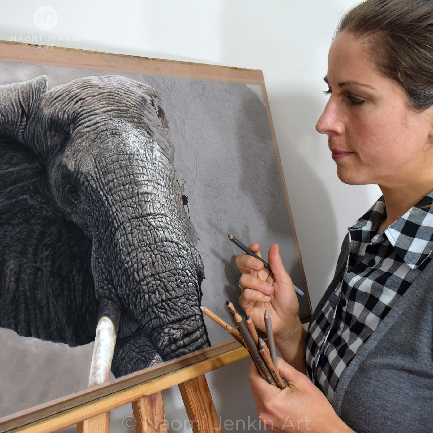 Wildlife Artist of the Year 2024 finalist Naomi Jenkin creating her original elephant drawing 