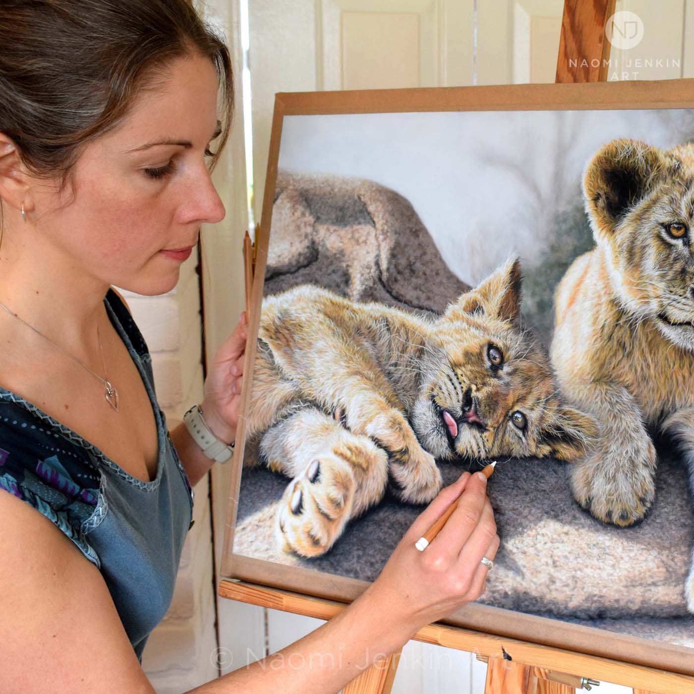 UK wildlife artist Naomi Jenkin drawing 