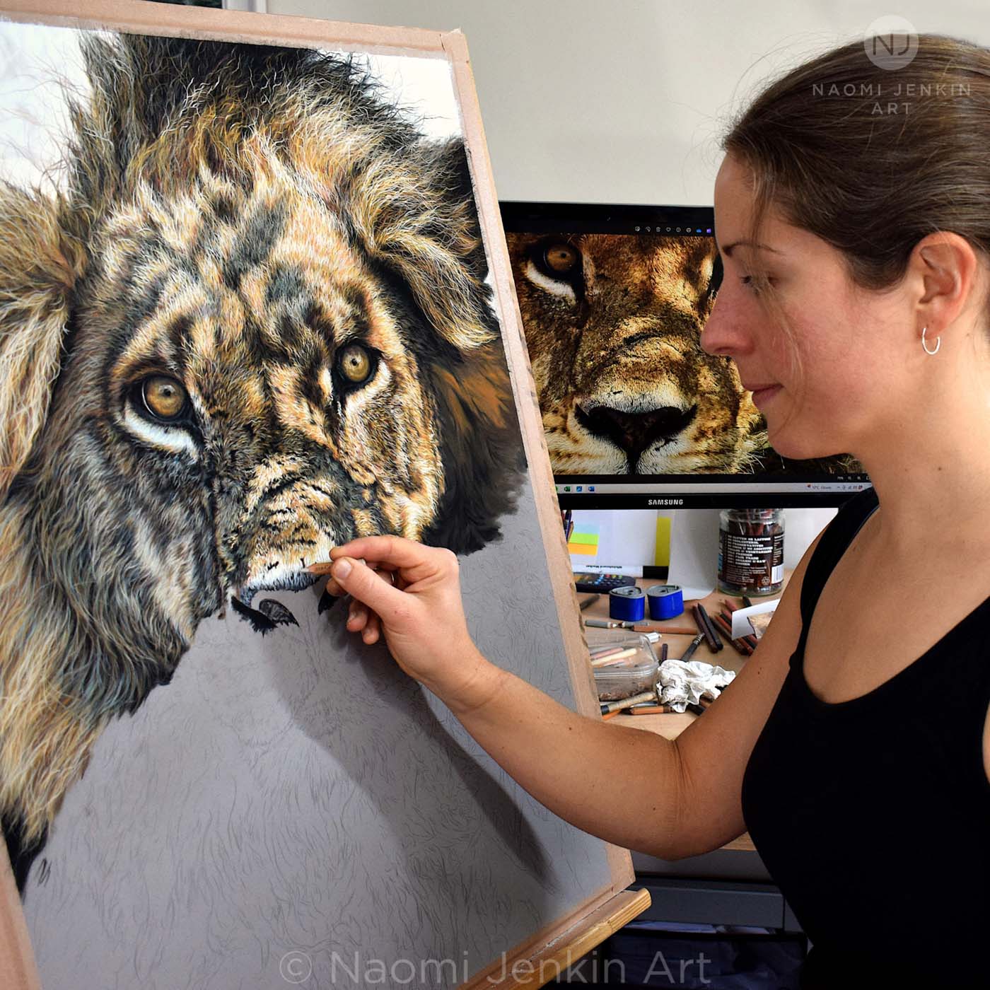 UK wildlife artist Naomi Jenkin creating her original lion drawing 