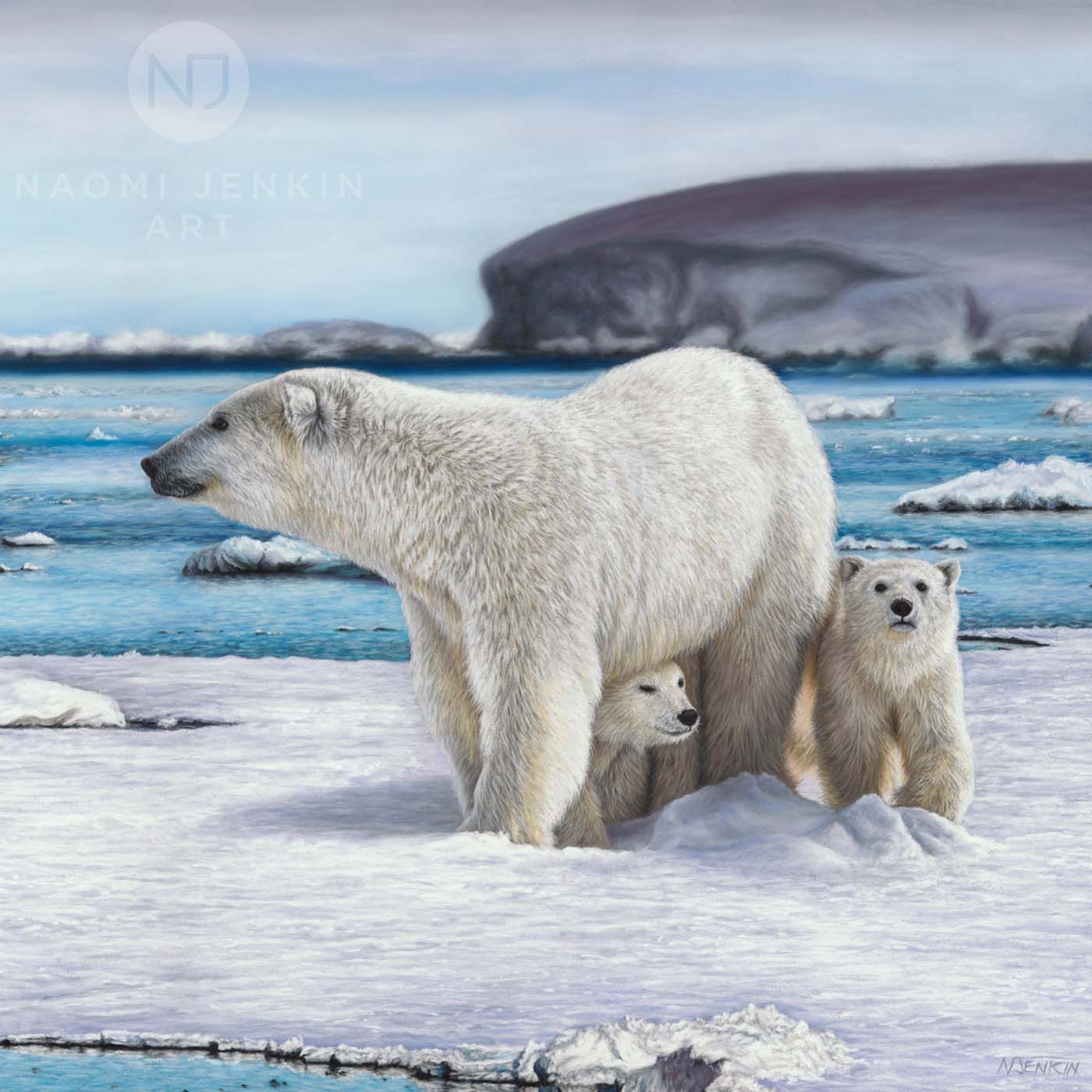 Polar bear painting hand drawn in pastels by wildlife artist Naomi Jenkin.