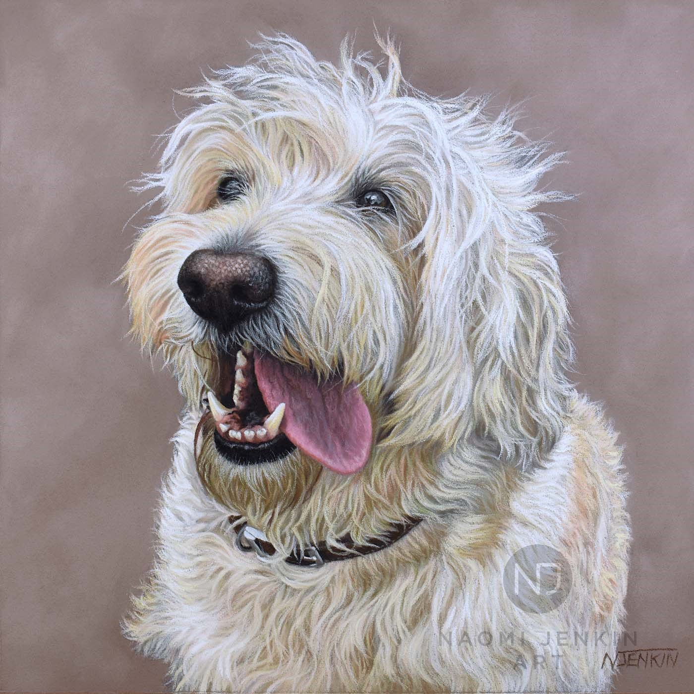 Pet portrait of Labradoodle by Naomi Jenkin Art. 