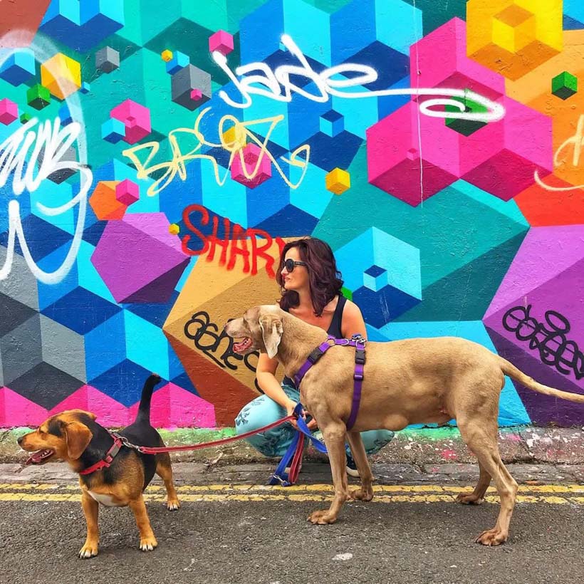 Holistic animal therapist Rachel Knott with her dogs.