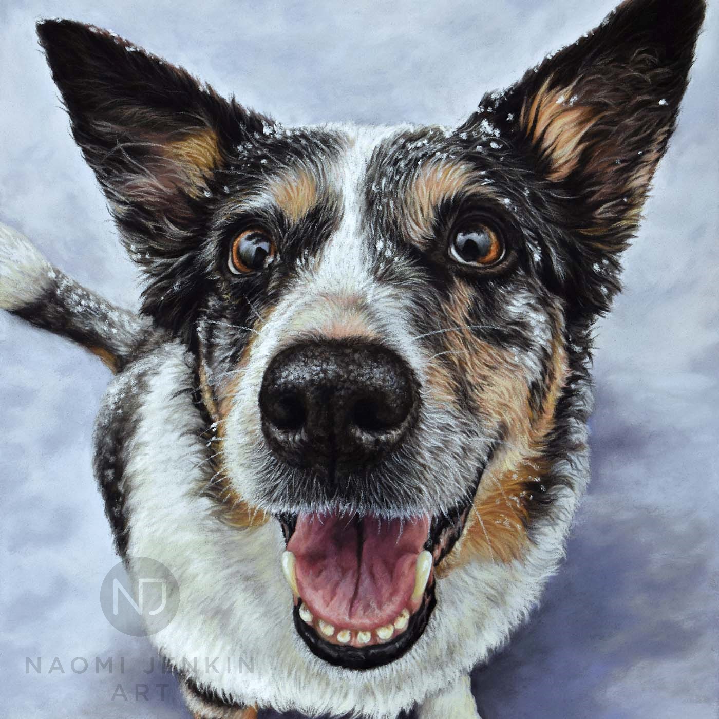 Dog portrait of border collie by Naomi Jenkin Art. 