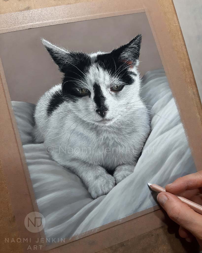 Cat portrait of 'Teeny' drawn in pastels by Naomi Jenkin