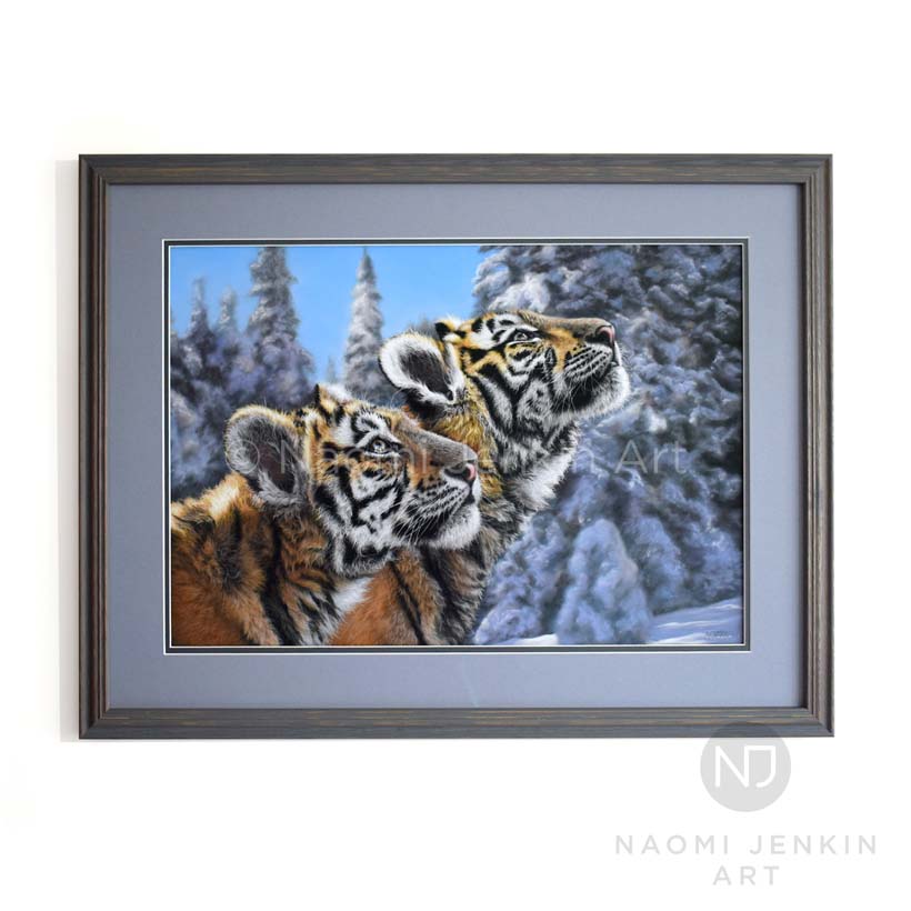 Tiger art by wildlife artist Naomi Jenkin. 