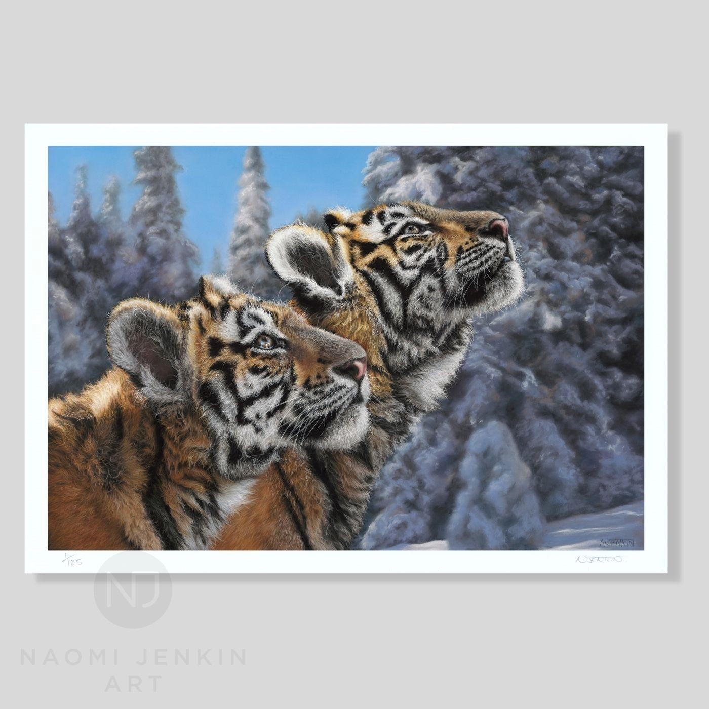 Tiger art print from an original painting by wildlife artist Naomi Jenkin. 