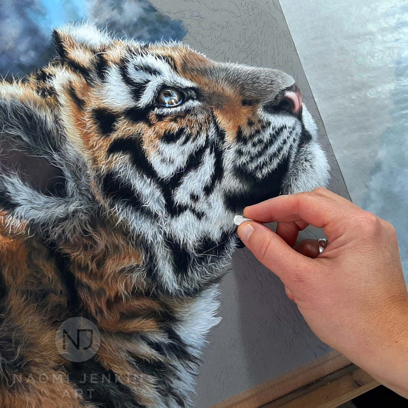 Tiger art by wildlife artist Naomi Jenkin.