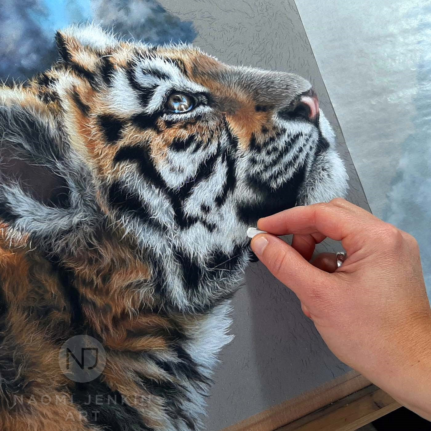 Tiger art by wildlife artist Naomi Jenkin.