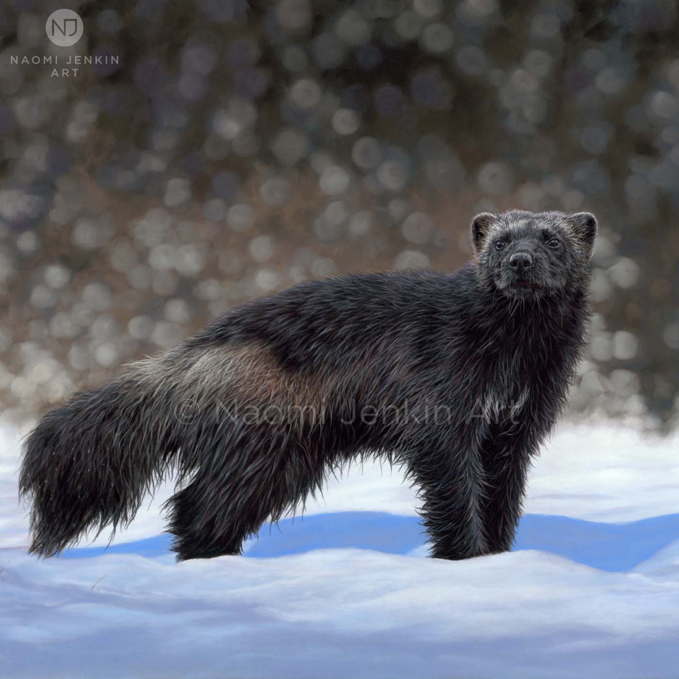 Custom wildlife painting of a wolverine by Naomi Jenkin Art