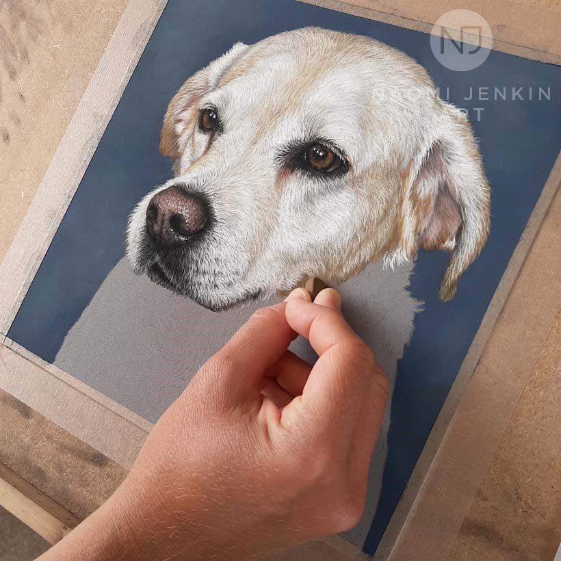Golden Labrador portrait by Naomi Jenkin Art.