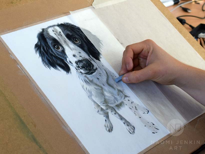 Naomi Jenkin drawing portrait of Cocker Spaniel puppy Larry.