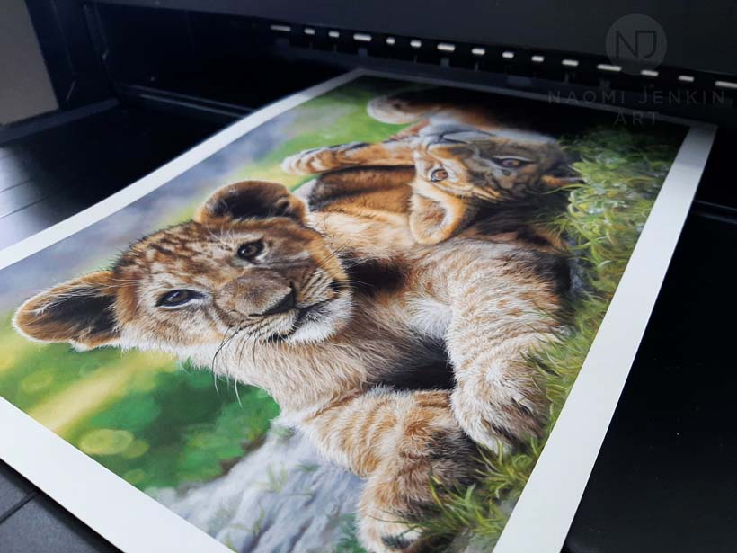 Limited edition wildlife art print of two lion cubs by Naomi Jenkin Art. 