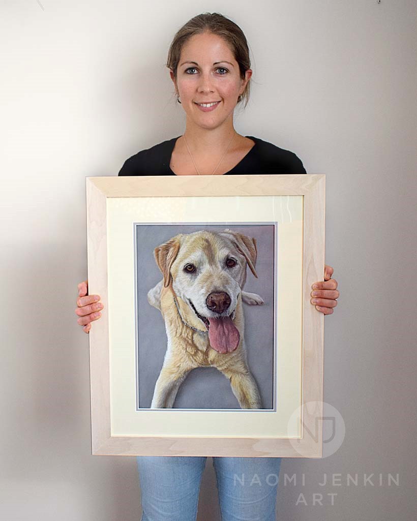 Pet portrait artist Naomi Jenkin with dog portrait of a golden Labrador. 
