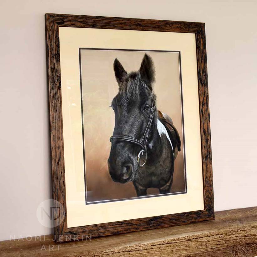 Horse portrait by Naomi Jenkin Art. 