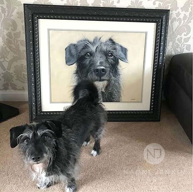 Beau the Jackapoo with his portrait