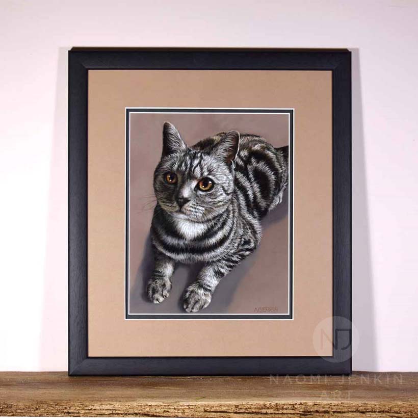 Pet portrait of silver tabby cat by Naomi Jenkin Art.