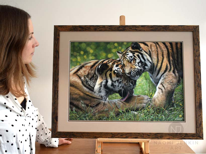 Wildlife artist Naomi Jenkin with framed tiger painting
