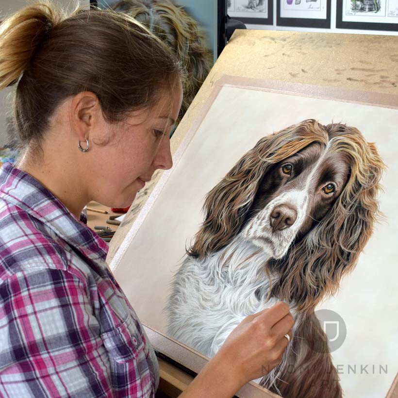 Pet portrait artist Naomi Jenkin drawing Alby the Springer Spaniel.