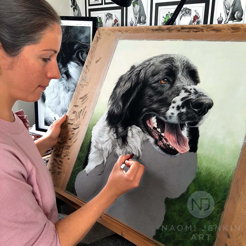 Naomi Jenkin drawing portrait of Mac the Border Collie. 