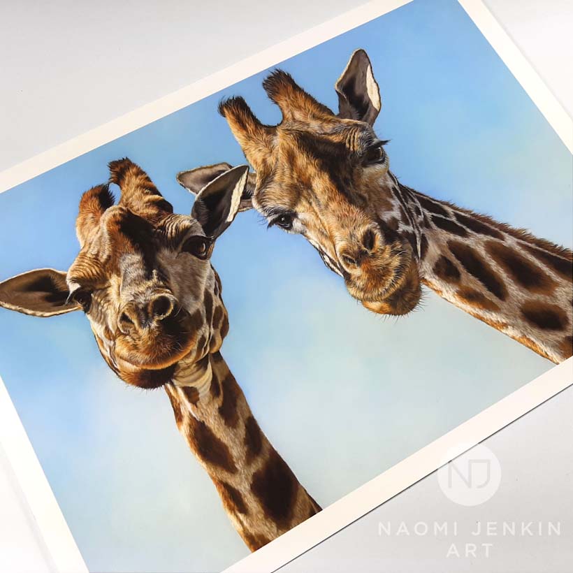 Fine art print of giraffe painting by wildlife artist Naomi Jenkin. 