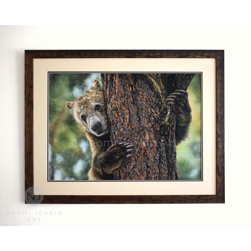 Wildlife art of a grizzly bear by Naomi Jenkin Art.