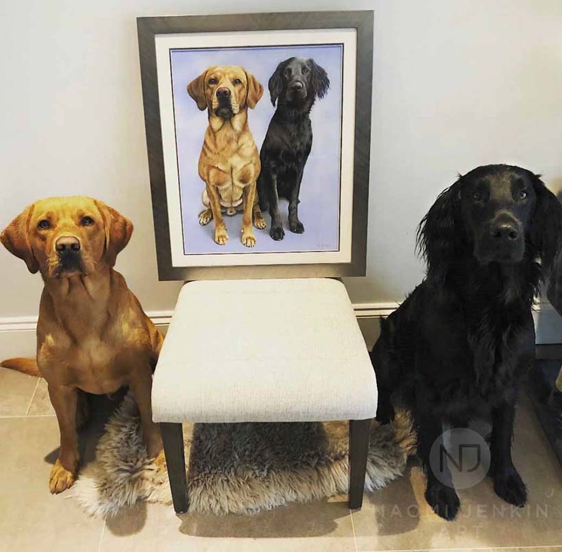 Dog portrait by Naomi Jenkin Art.