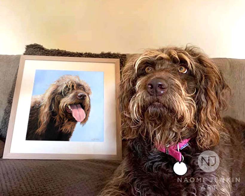 Labradoodle pet portrait by Naomi Jenkin Art. 
