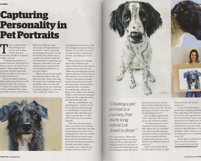 Pet portrait artist Naomi Jenkin Art in Agility Voice magazine.